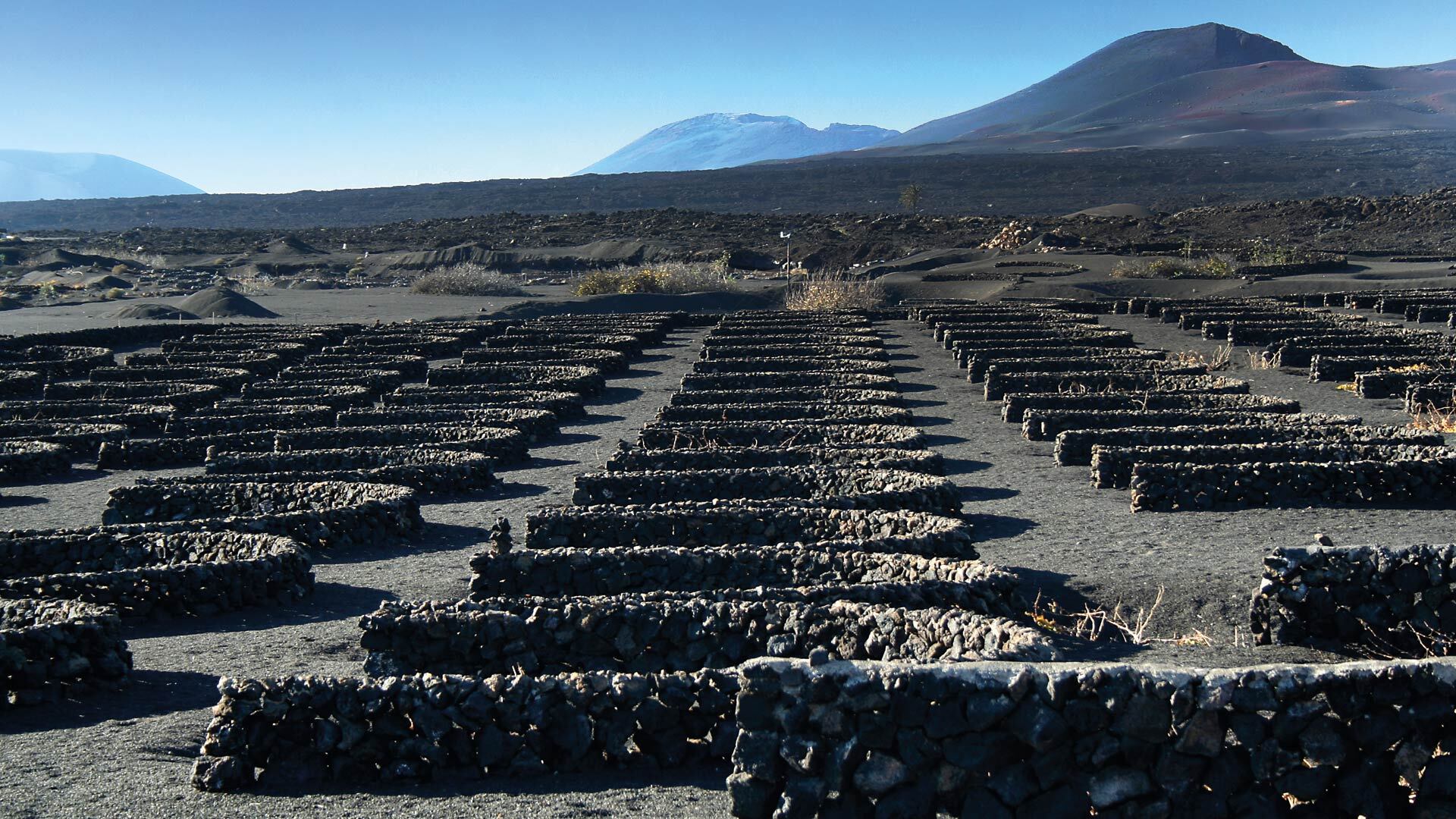 Weinbaugebiet La Geria auf Lanzarote