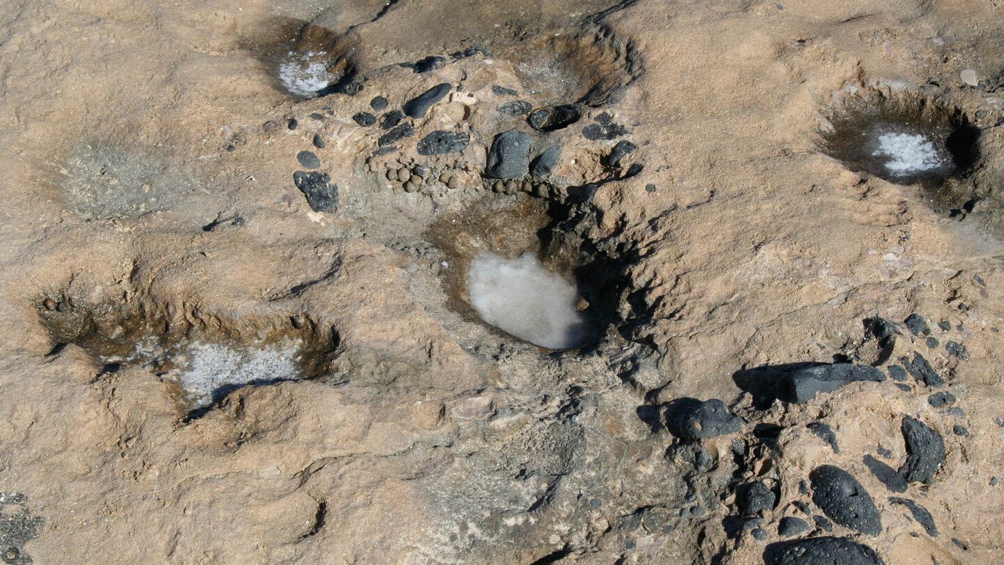 Salzablagerungen am Playa el Salado