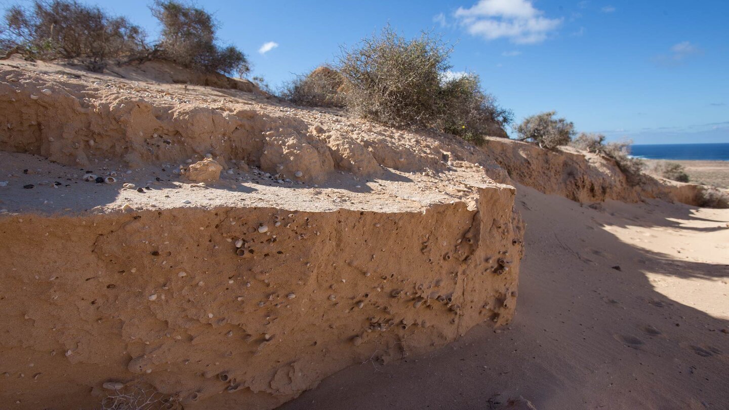 verfestigter Sand auf La Graciosa 