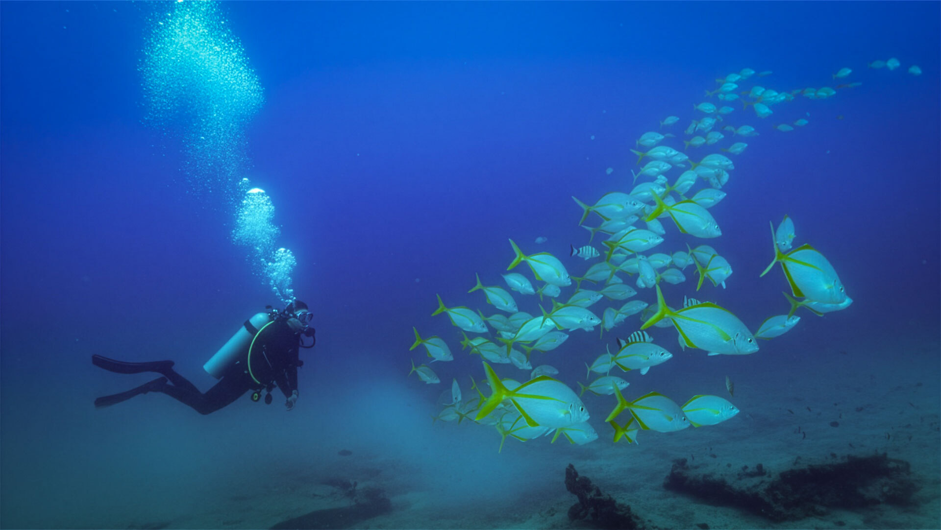Tauchen auf La Graciosa