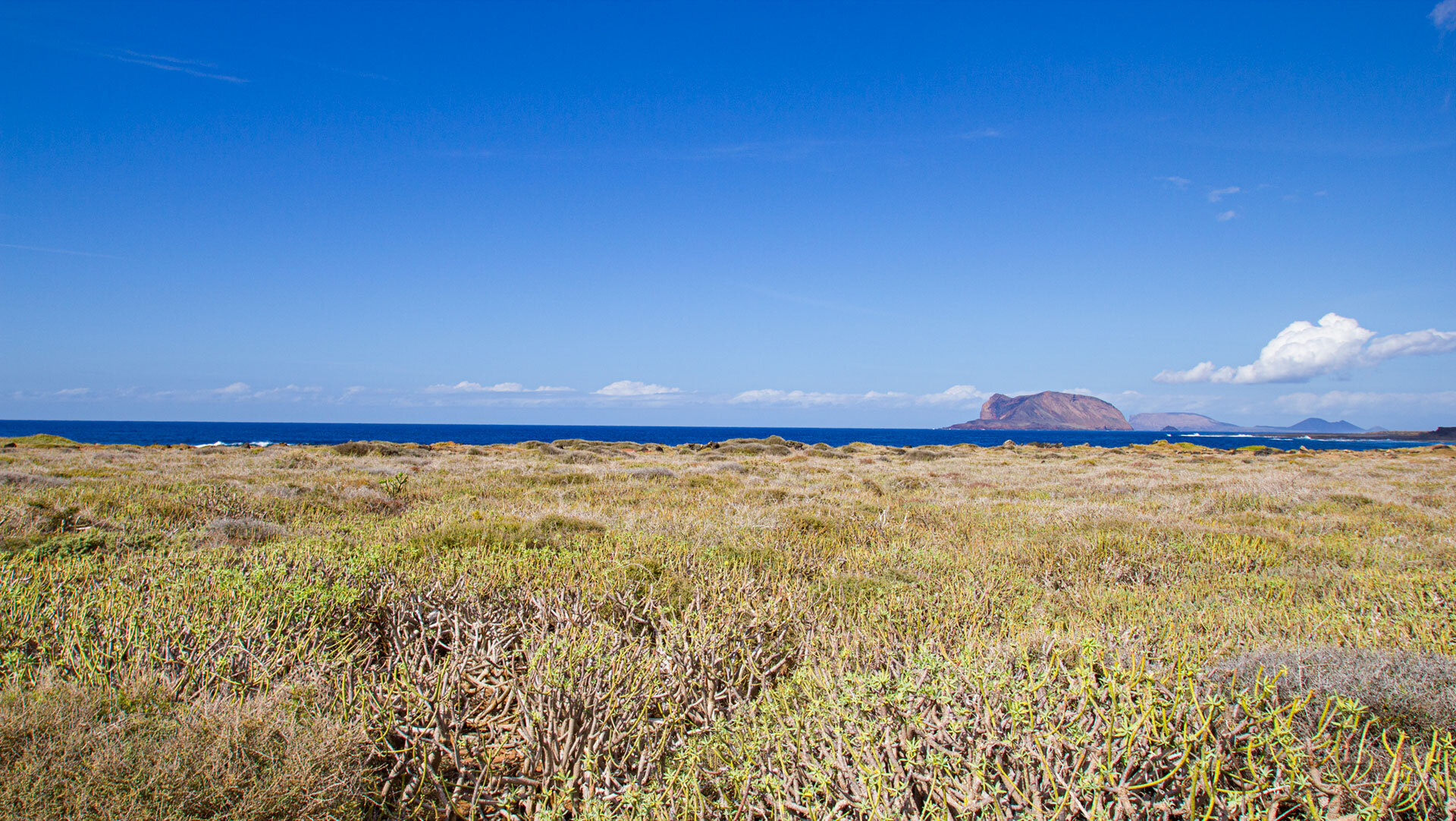 Wolfsmilchfelder auf La Graciosa
